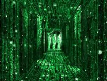 NET ART